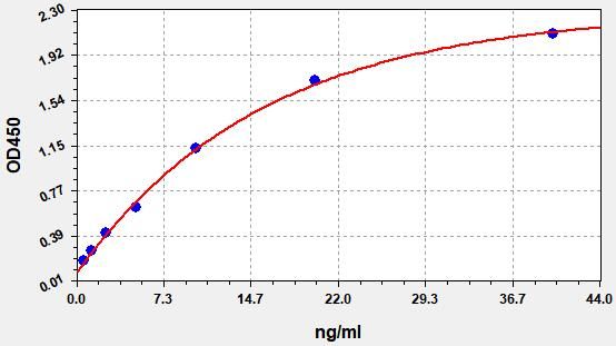 Human Alpha-1B-glycoprotein (A1BG) ELISA Kit EKFT11740HU