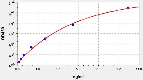 Human Spectrin beta chain, non-erythrocytic 1 (SPTBN1) ELISA Kit EKFT11830HU