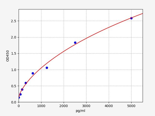 Human Transcriptional enhancer factor TEF-3 (TEAD4) ELISA Kit EKFT11892HU