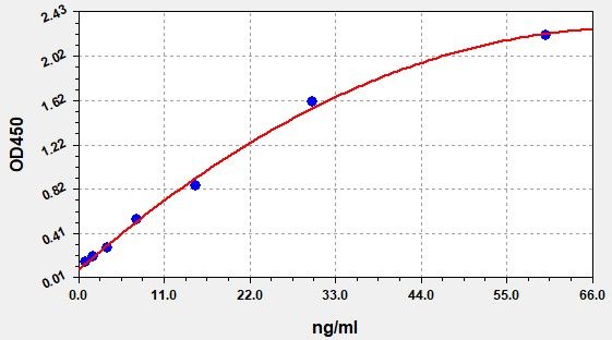 Human Matrix extracellular phosphoglycoprotein (MEPE) ELISA Kit EKFT12140HU