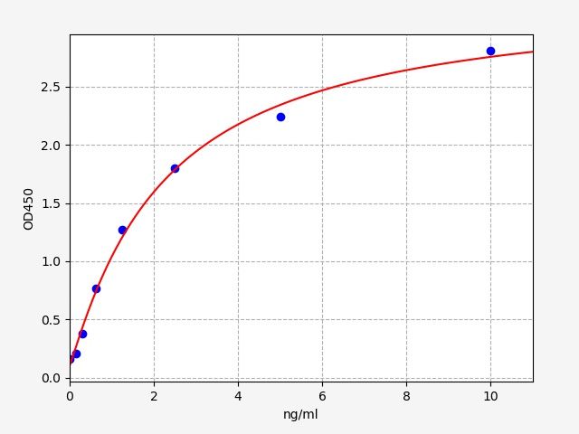 Human Prolyl 3-hydroxylase 1 (P3H1) ELISA Kit EKFT12276HU