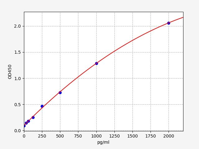 Human Mitotic arrest deficient 1-like protein 1 (MAD1L1) ELISA Kit EKFT12284HU