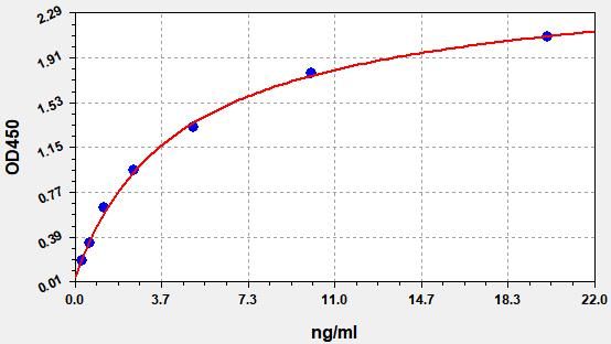 Human T-box transcription factor TBX3 (TBX3) ELISA Kit EKFT12379HU