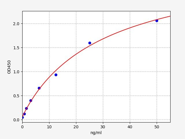 Human Agmatinase, mitochondrial (AGMAT) ELISA Kit EKFT12447HU