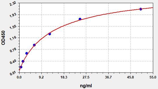 Human Matrix metalloproteinase-19 (MMP19) ELISA Kit EKFT12526HU