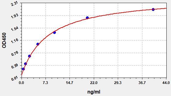 Human Methionine synthase (MTR) ELISA Kit EKFT12558HU