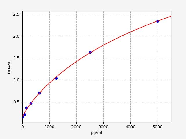 Human Nuclear factor erythroid 2-related factor 1 (NFE2L1) ELISA Kit EKFT12578HU
