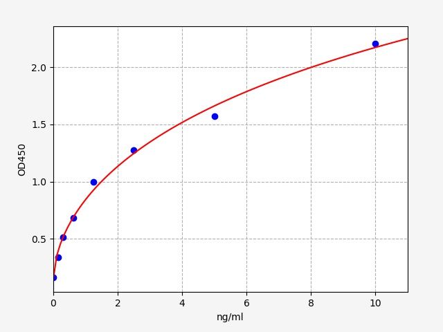 Human Bcl2 antagonist of cell death (BAD) ELISA Kit EKFT12590HU