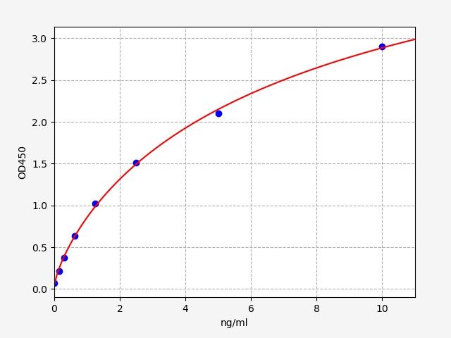 Human Discoidin domain-containing receptor 2 (DDR2) ELISA Kit EKFT12593HU