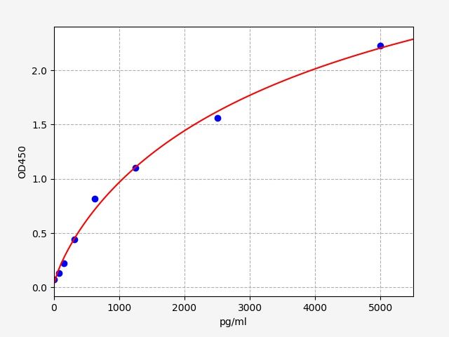 Human Proto-oncogene tyrosine-protein kinase receptor Ret (RET) ELISA Kit EKFT12600HU