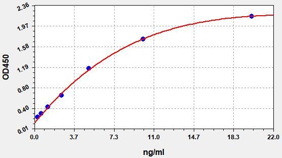 Human Carbonic anhydrase 12 (CA12) ELISA Kit EKFT12621HU