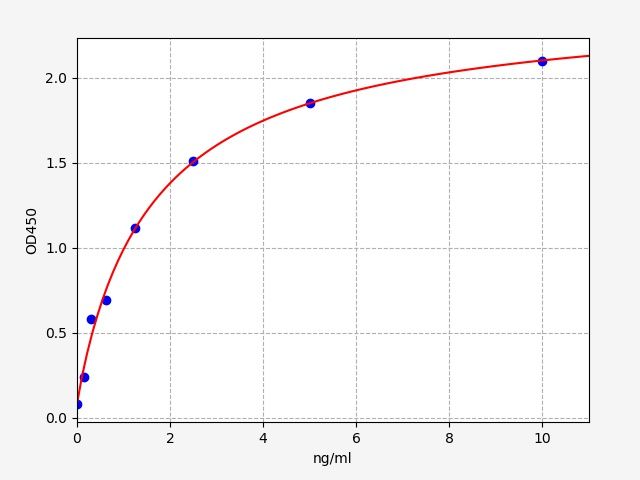 Human Nuclear factor of activated T-cells, cytoplasmic 1 (NFATC1) ELISA Kit EKFT12631HU