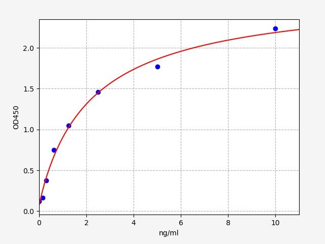 Human Metastasis-associated in colon cancer protein 1 (MACC1) ELISA Kit EKFT12651HU