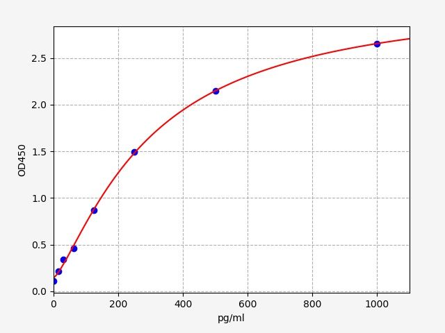 Human Rho GTPase-activating protein 21 (ARHGAP21) ELISA Kit EKFT12666HU