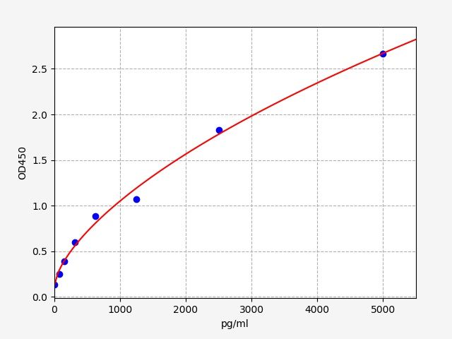Human Lysosomal protective protein (CTSA) ELISA Kit EKFT12693HU