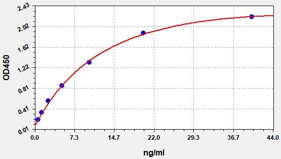 Human Protein S100-A8 (S100A8) ELISA Kit EKFT12761HU