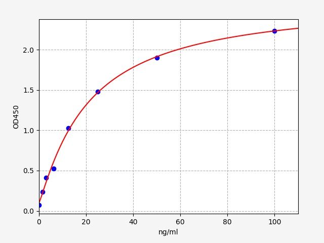 Human L-lactate dehydrogenase C chain (LDHC) ELISA Kit EKFT12979HU
