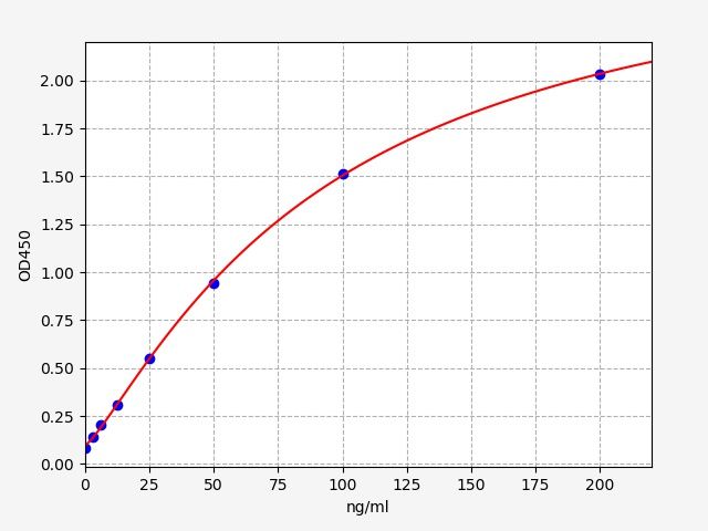 Human Mannan-binding lectin serine protease 2 (MASP2) ELISA Kit EKFT12999HU