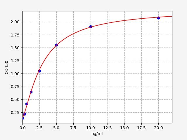 Human Neurogenic locus notch homolog protein 4 (NOTCH4) ELISA Kit EKFT13041HU