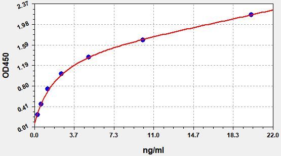 Human Protein Wnt-4 (WNT4) ELISA Kit EKFT13068HU