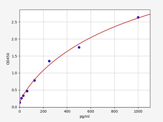 Human Protein Wnt-2b (WNT2B) ELISA Kit EKFT13069HU