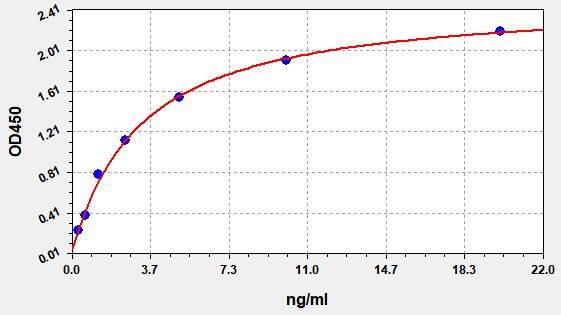 Human Protein Wnt-10b (WNT10B) ELISA Kit EKFT13129HU