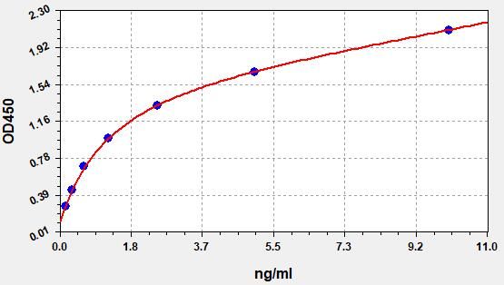 Human Cytochrome P450 2C19 (CYP2C19) ELISA Kit EKFT13147HU