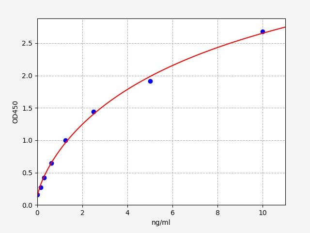 Human Glypican-4 (GPC4) ELISA Kit EKFT13228HU