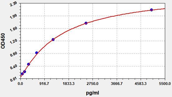 Human Transforming protein RhoA (RHOA) ELISA Kit EKFT13279HU