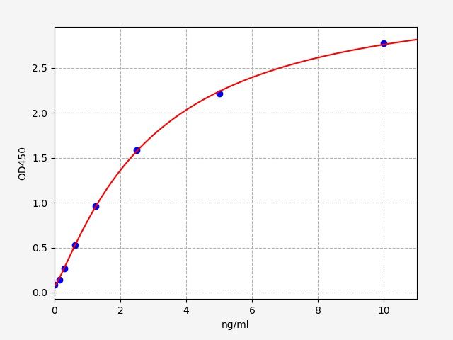 Human Amine oxidase [flavin-containing] B (MAOB) ELISA Kit EKFT13306HU