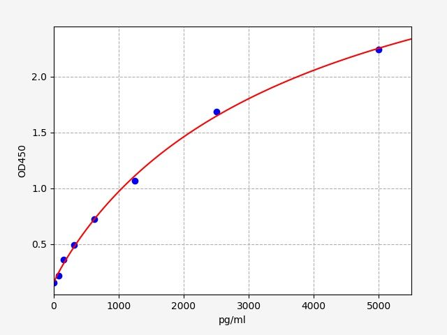Human Cathepsin F (CTSF) ELISA Kit EKFT13321HU