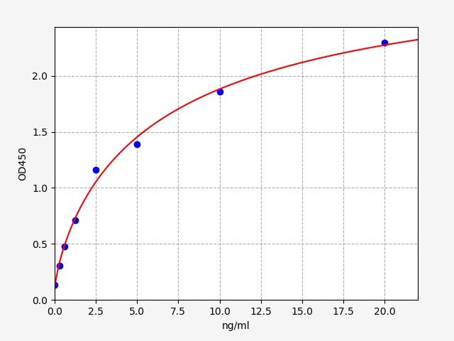 Human Bcl-2 Like Protein 1/Bcl2 Associated X Protein (BCL2L1/BCL-X) ELISA Kit EKFT13388HU