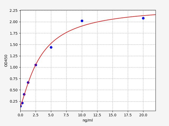 Human Bcl-2 Like Protein 11 (Bcl2L11) ELISA Kit EKFT13389HU