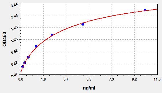 Human Caspase 4 (CASP4) ELISA Kit EKFT13422HU