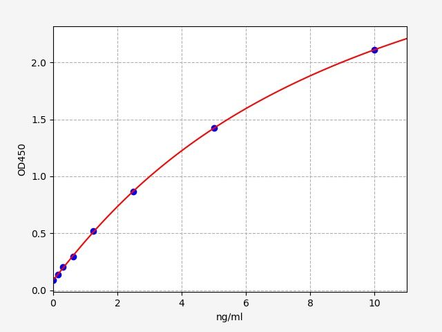 Human Creatine Kinase, Mitochondrial 1A (CKMT1A) ELISA Kit EKFT13452HU