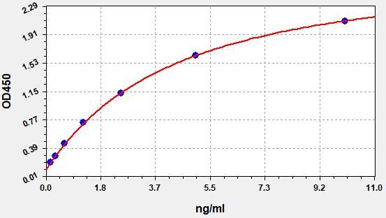 Human Claudin 5 (CLDN5) ELISA Kit EKFT13456HU