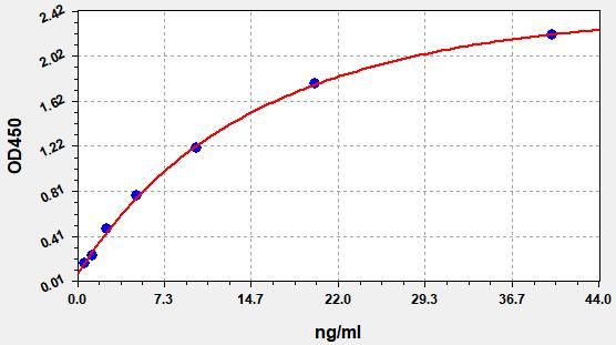 Human Activated Coagulation Factor Ⅻ (FⅫa) ELISA Kit EKFT13552HU