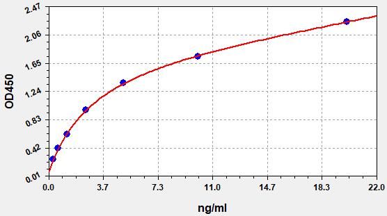 Human Fc Fragment of IgG (Fcγ) ELISA Kit EKFT13561HU