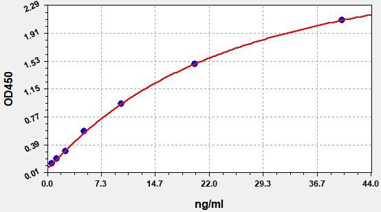 Human Anti-Granulocyte Macrophage Colony Stimulating Factor Antibody (GM-CSF Ab) ELISA Kit EKFT13617HU