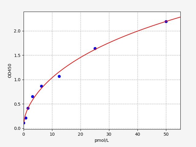 Human Proadrenomedullin (Pro-ADM) ELISA Kit EKFT13850HU