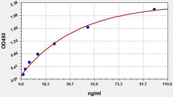 Human Syndecan 4 (SDC4) ELISA Kit EKFT13894HU