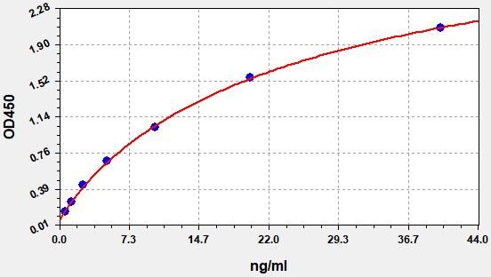 Human Transgelin (TAGLN) ELISA Kit EKFT13939HU