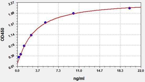 Human Beta actin (β-actin) ELISA Kit EKFT14002HU