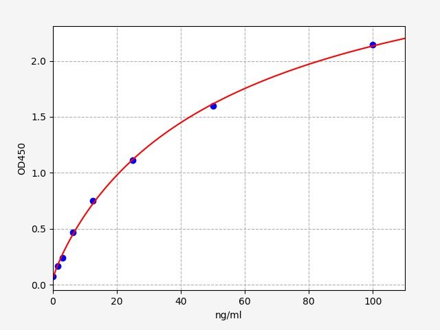 Human anti-cyclic citrullinated peptide antibody (ACCPA) ELISA Kit EKFT14067-CMHU