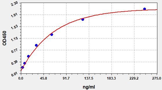 Human N (anti-SARS-CoV2) IgG ELISA Kit EKFT14220HU
