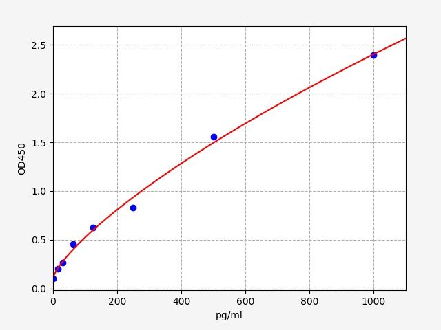 Human BAG family molecular chaperone regulator 2 (BAG2) ELISA Kit EKFT14277HU