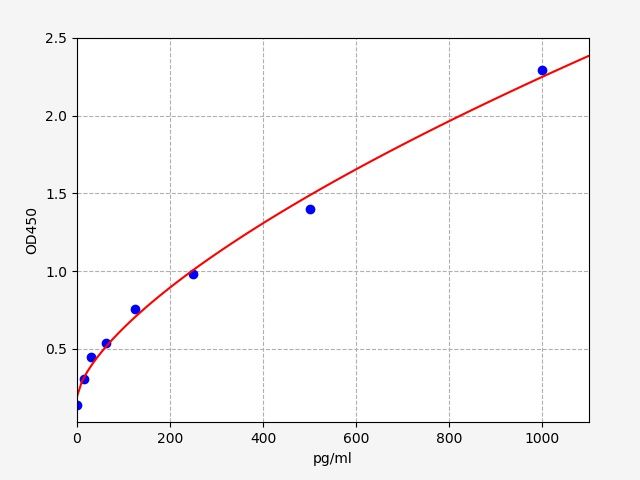 Human Cytoplasmic polyadenylation element-binding protein 4 (cpeb4) ELISA Kit EKFT14352HU