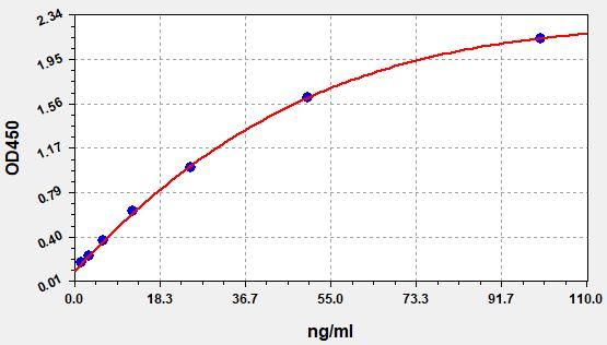 Human Anti-Monkeypox Virus IgM (Anti-MPV IgM) ELISA Kit EKFT14459HU
