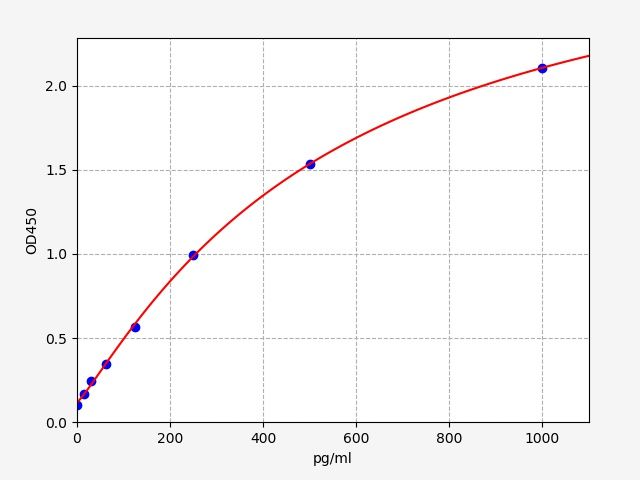 Human Transcriptional coactivator YAP1 (YAP1) ELISA Kit EKFT14630HU