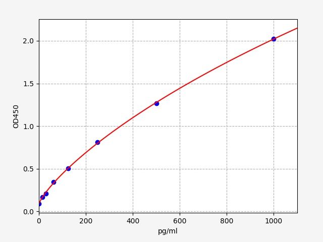 Human Paraneoplastic antigen Ma2 (PNMA2) ELISA Kit EKFT14640HU
